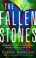 Fallen Stones