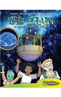 Brain:A Graphic Novel Tour