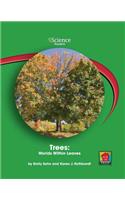 Trees