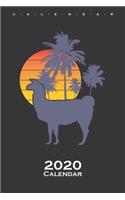 Beach Lama Calendar 2020