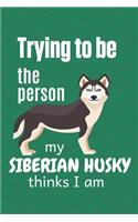 Trying to be the person my cute Siberian Husky thinks I am: For Siberian Husky Dog Fans