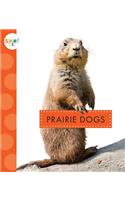 Prairie Dogs