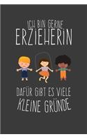 Ich bin Erzieherin Dafür gibt es viele kleine Gründe: Jahres-Kalender für das Jahr 2020 DinA 5 Planer für Lehrerinnen und Lehrer Notizheft für Pädagogen