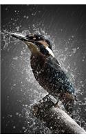 Rain Bird Notebook