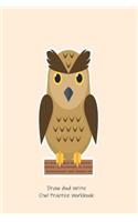 Draw And Write Owl Practice Workbook