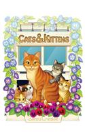 Cats & Kittens: Adult Coloring Book