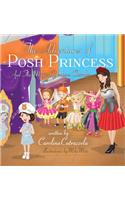 Adventures of Posh Princess - And the Magical Fashion Chamber