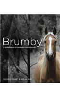 Brumby