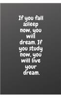 If You Fall Asleep Now, You Will Dream. If You Study Now, You Will Live Your Dream.