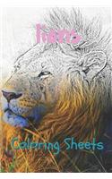 Lion Coloring Sheets: 30 Lion Drawings, Coloring Sheets Adults Relaxation, Coloring Book for Kids, for Girls, Volume 7