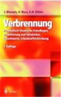 Technische Verbrennung: Physikalisch-Chemische Grundlagen, Modellbildung, Schadstoffentstehung