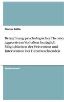 Betrachtung psychologischer Theorien zu aggressivem Verhalten bezüglich Möglichkeiten der Prävention und Intervention bei Heranwachsenden