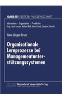 Organisationale Lernprozesse Bei Managementunterstützungssystemen