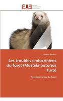 Les troubles endocriniens du furet (mustela putorius furo): (Omn.Univ.Europ.)