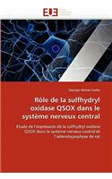 Rôle de la Sulfhydryl Oxidase Qsox Dans Le Système Nerveux Central