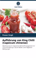 Aufführung von King Chilli (Capsicum chinense)