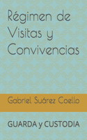 Régimen de Visitas y Convivencias