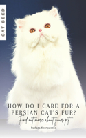 How do I care for a Persian cat's fur?: Find out more about your pet