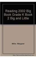Reading 2002 Big Book Grade K Book 2 Big and Little