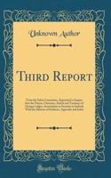 Third Report: From the Select Committee, Appointed to Inquire Into the Nature, Character, Extent and Tendency of Orange Lodges, Associations or Societies in Ireland; With the Minutes of Evidence, Appendix and Index (Classic Reprint)