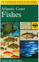 A Field Guide to Atlantic Coast Fishes