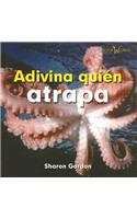 Adivina Quién Atrapa (Guess Who Grabs)