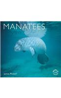 Manatees