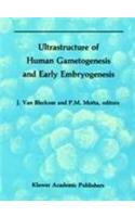 Ultrastructure of Human Gametogenesis and Early Embryogenesis