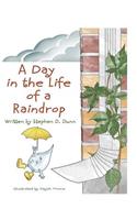 Day In The Life Of A Raindrop