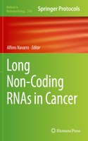 Long Non-Coding RNAs in Cancer