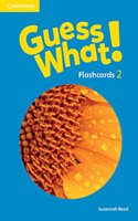 Guess What! American English Level 2 Flashcards (Pack of 91)