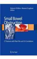 Small-Bowel Obstruction: CT Features with Plain Film and Us Correlations