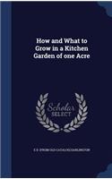 How and What to Grow in a Kitchen Garden of one Acre