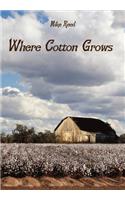 Where Cotton Grows