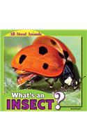 What's an Insect?