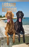 Labrador Retrievers 2018 Wall Calendar