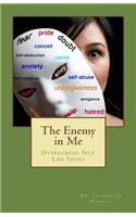 Enemy In Me