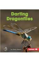 Darting Dragonflies: (First Step Nonfiction — Backyard Critters)