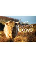 Villager Jim's Highland Cows