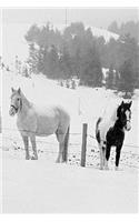 Journal Horses Winter Pasture: (Notebook, Diary, Blank Book)