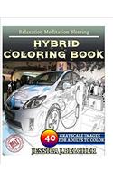 Hybrid Coloring Book for Adults Relaxation Meditation Blessing: Sketches Coloring Book 40 Grayscale Images