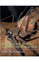 Breeding the World's Largest Living Arachnid