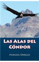 Alas Del Cóndor
