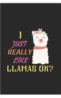 I Just Really Like Llamas Ok?: Blank Lined Llama Notebook Journal, Cute llama Notebook Journal For Men Women And Kids, Gifts For Llama Lovers