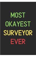 Most Okayest Surveyor Ever