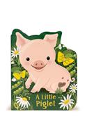 A Little Piglet