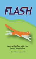 Flash