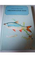 A Magna Field Guide Freshwater Fish