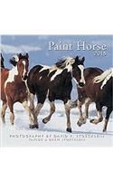Paint Horse 2018 Calendar