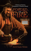 Forged by Fire: A History of German Immigration in Southern Brazil